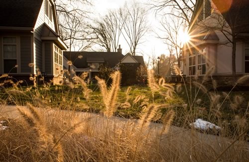 feature-greenhouse-project-nyt.jpg